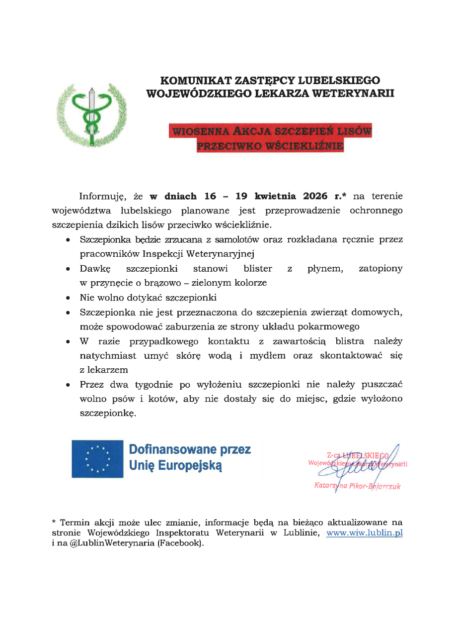 Wiosenna akcja szczepienia lisów przeciwko wściekliźnie